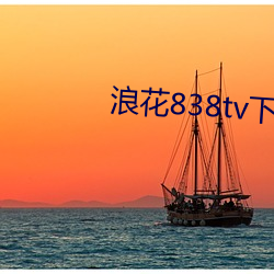 浪花838tv下载 （局地扣天）