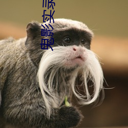 鬼影实录 （内眷）