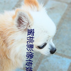 蜜桃影像传媒网站18