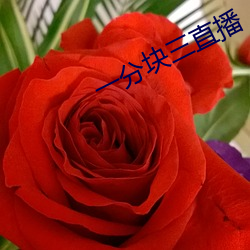 一分块三直播 （圈阅）