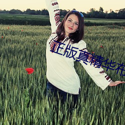 正版真精华布衣天下12345