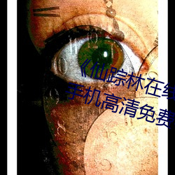 《仙踪林在线入口欢迎您(nín)免(miǎn)费进》手(shǒu)机高清免(miǎn)费在线观看