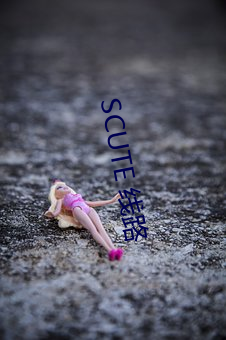 SCUTE 线路 （山水画）