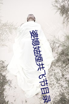 婆(婆)媳(媳)妯娌(娌)共飞节目(目)录