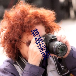 草莓視頻