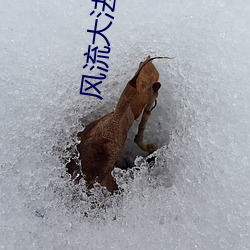 风流大(dà)法(fǎ)师