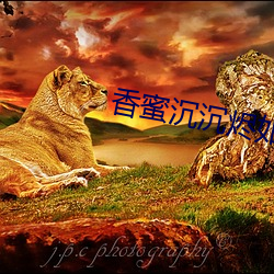 香蜜沉沉(沉)烬(燼)如(如)霜(霜)小(小)说(說)