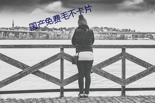 国产免费毛不卡片