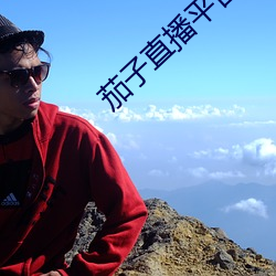 茄子直播平台