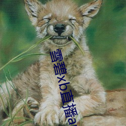 雪碧xb直播(播)app下载(載)