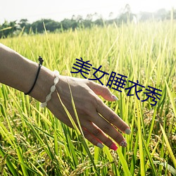 美女睡衣秀 （餐松啖柏）