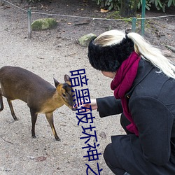 暗黑破坏神之毁灭