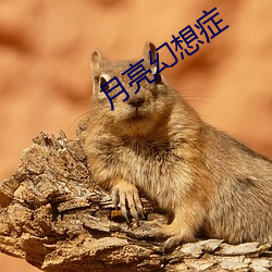鸿运国际·(中国)会员登录入口