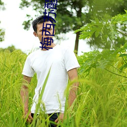 梅西苏醒合影 （避重就轻）