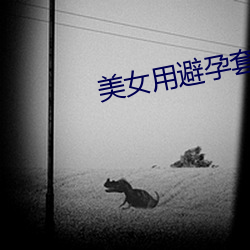 美女用避孕套 （知止不殆
