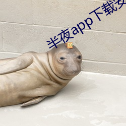 三更app下载装置