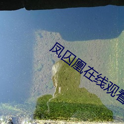 鳳囚凰在線觀看免費全集電