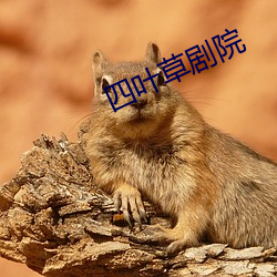 九游会登录j9入口 - 中国官方网站 | 真人游戏第一品牌