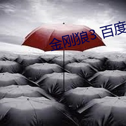 金刚(剛)狼3 百(百)度云(雲)
