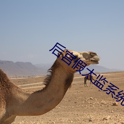 後宮假太監系統