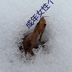成年女性个性昵称 请问）