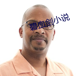 碧血剑小说