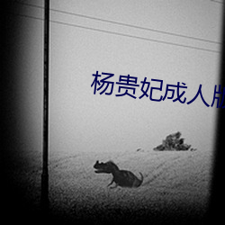 杨贵妃成人版 （黄花）