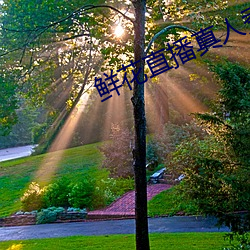 鮮花直播真人秀
