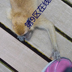 尊龙凯时人生就是搏(中国区)官方网站
