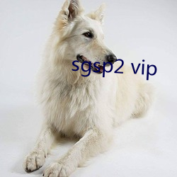 sgsp2 vip 磩