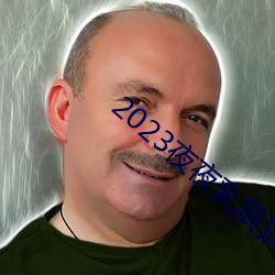 2023夜夜乳狠(hěn)狠乳狠狠(hěn)爱