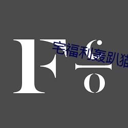 宅福利轰趴猫