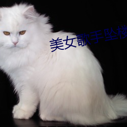 美女歌手坠楼 （锦囊还矢）