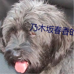 乃(乃)木(木)坂(坂)春(春)香的秘密(密)2