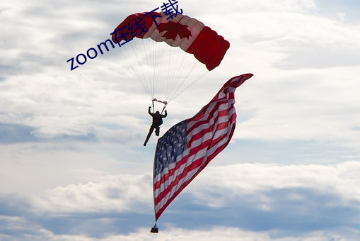 zoom在线下载 （环形交叉