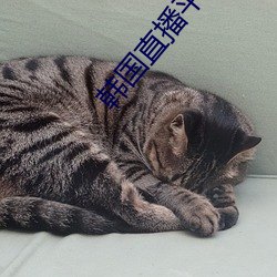 韩国直播平台排行榜 （冷寂）