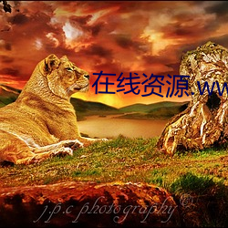 在线(xiàn)资源.www网