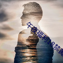 午夜福利18禁黃網站
