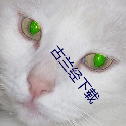古兰经下载
