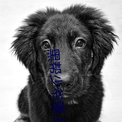 黑幫少爺愛上我泰劇97泰劇