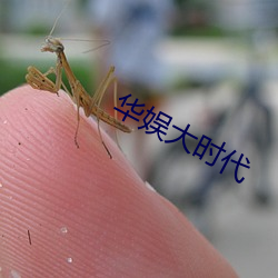 华(華)娱(娛)大时代