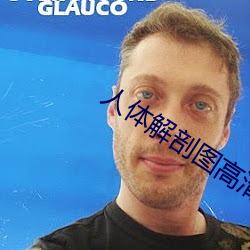 人体解剖图高清