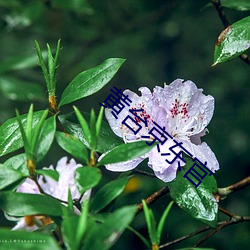 黄台(tái)京东(dōng)官