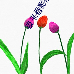 夜来香影院