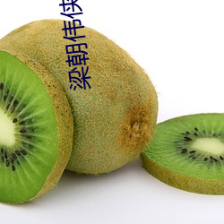 梁(liáng)朝(cháo)伟侠客行