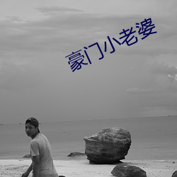 豪门小老婆(婆)
