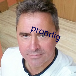 prondig （别开蹊径）