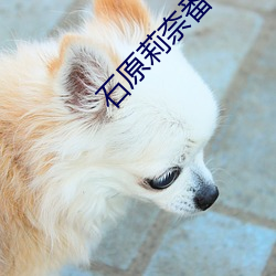 石原(yuán)莉奈番号ipz