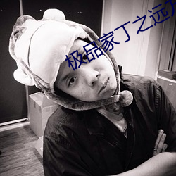 极(極)品家(家)丁之(之)远方来客