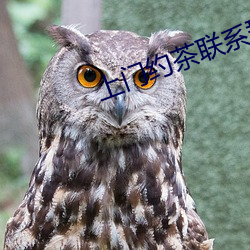上门约茶联系群